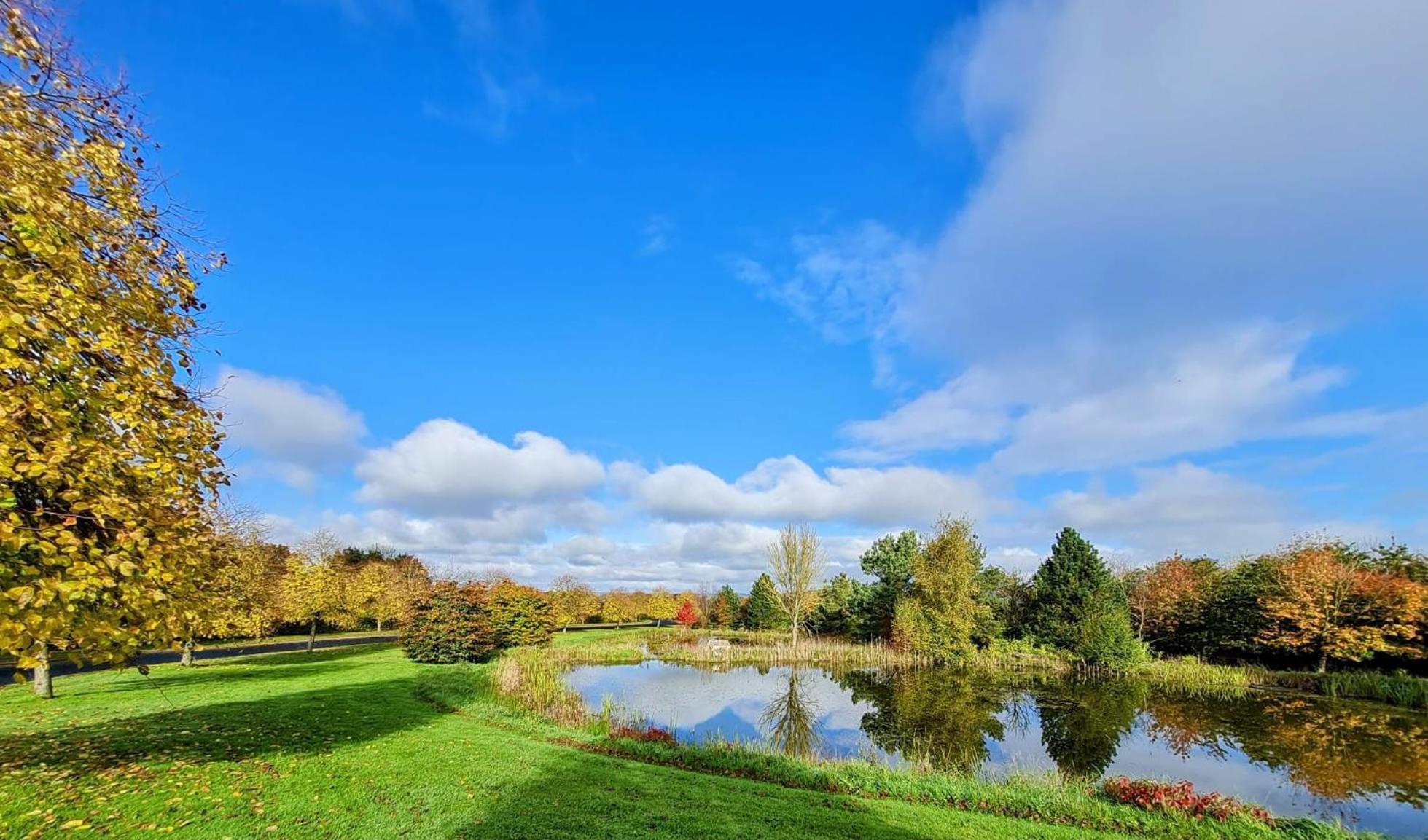 Hazelwood Country House Adare Eksteriør bilde