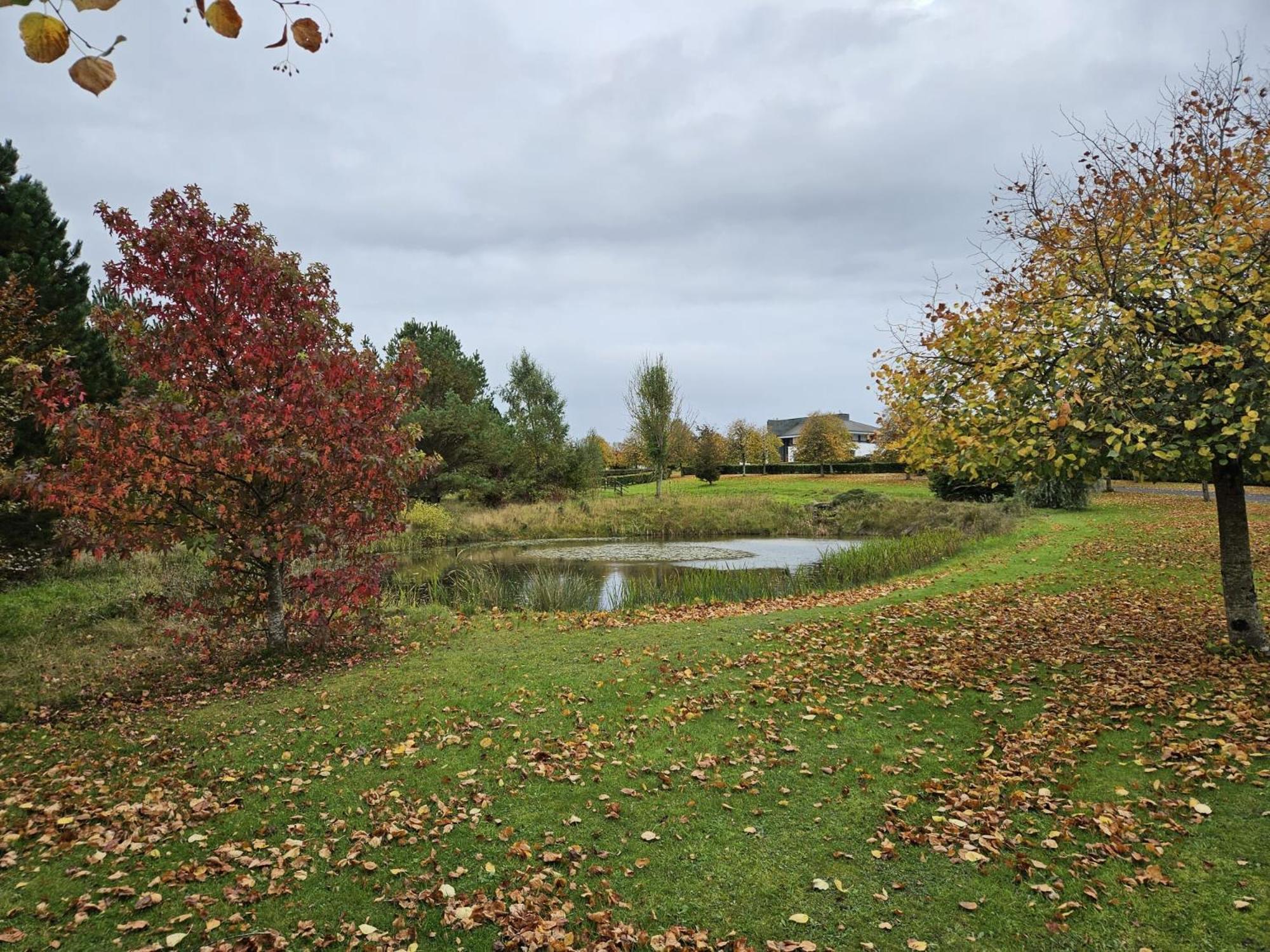 Hazelwood Country House Adare Eksteriør bilde