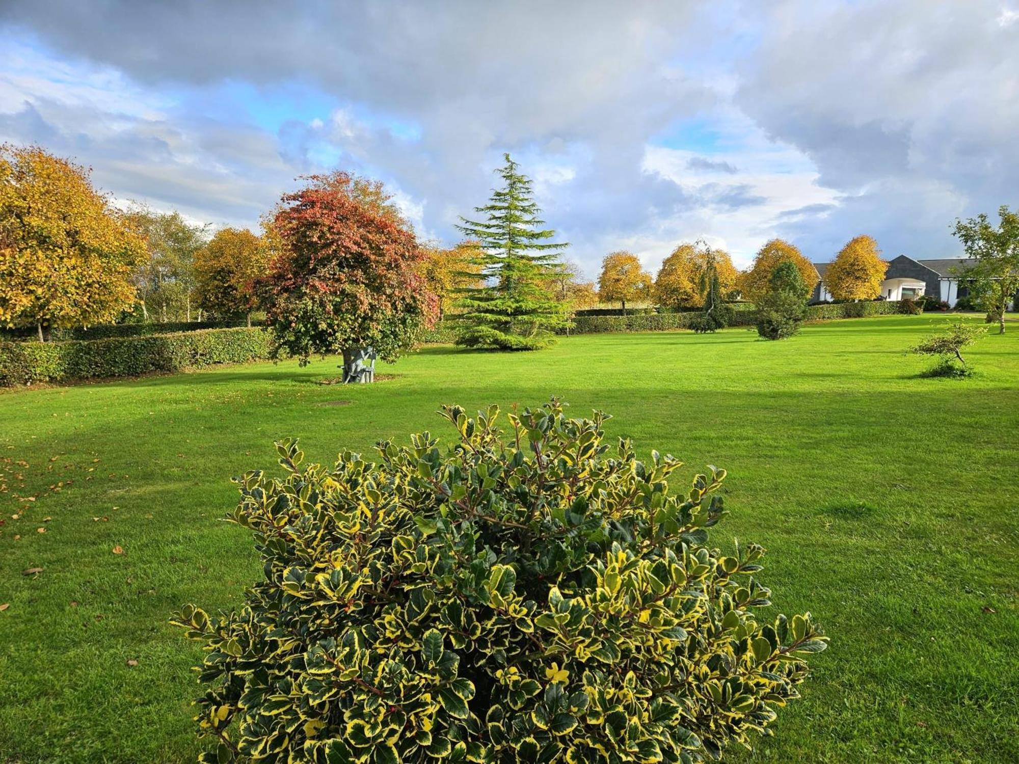 Hazelwood Country House Adare Eksteriør bilde